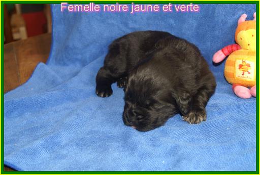 Cliquez pour agrandir l'image