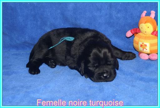 Cliquez pour agrandir l'image