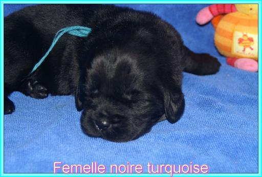 Cliquez pour agrandir l'image