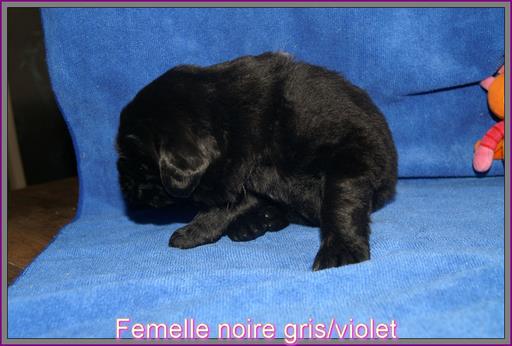 Cliquez pour agrandir l'image