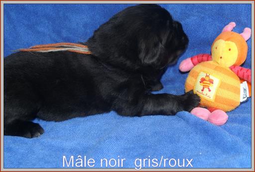 Cliquez pour agrandir l'image