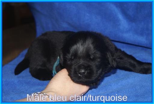 Cliquez pour agrandir l'image