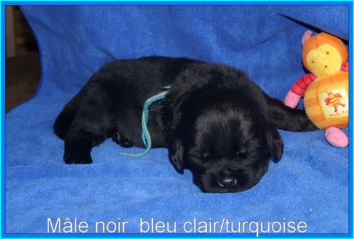 Cliquez pour agrandir l'image