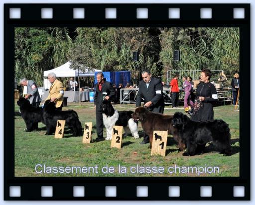 Clicca per ingrandire l'immagine Clicca per ingrandire l'immagine