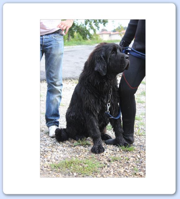 Klicken Sie auf das Bild, um es zu vergrößern